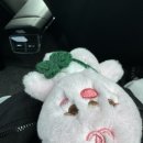 윤강병원 | 🍀데이식스 팬미팅 후기| I Need Myday| 첫팬 후기🍀