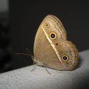 제천 가스 충전소 이미지