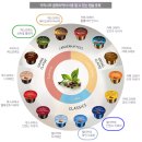 벨레자아로마