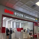 부산은행 앞 | 김해공항스카이허브라운지 &amp; 부산은행환전 이용후기 - 오키나와혼자여행 출국팁