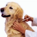 해봄동물병원 이미지