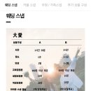 태랑스냅 이미지