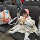 탐라도다 | 9개월 아기와 함께한 단체 가족 제주도 3박 4일 여행