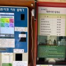 대한다원화장실 | 전남 보성 관광지 추천! '대한다원 보성 녹차밭' 리뷰(녹차 아이스크림 먹기!)
