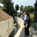 양지천3 이미지