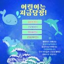 용인대 부곡 태권도장 이미지