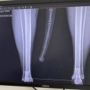 하남플러스동물병원 이미지