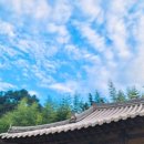 솔바람펜션 | 곡성장미축제인근펜션 심청골한옥펜션 방문 후기