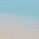 등대해수욕장 이미지