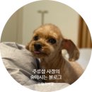 에이미테이블 | 내돈!미사리드라이브추천-브런치카페 에이미테이블 솔직후기