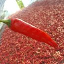 영구농장 이미지