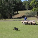 토부농장 이미지