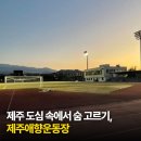제주종합경기장 애향운동장 | 제주 도심 속에서 숨 고르기, 제주 애향운동장