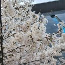 세븐일레븐 경의숲길점 이미지