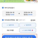 제주도 렌트카 가격 비교 사이트 '돌하루팡' 추천 (+가성비 '한라산렌트카' 이용 후기)