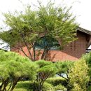 양평믿음공인중개사사무소 이미지