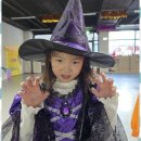 늘행복태권도장 이미지