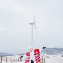 낙하목장 이미지