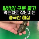 가짜해삼 이미지