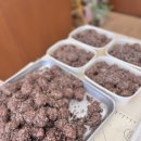 백일경로당 이미지