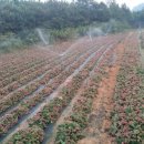 김명복농장 이미지