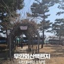 도현이네 농장 이미지