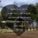 양평포레스트 스테이 이미지