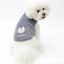 플러피독 이미지