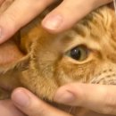 칠곡온동물의료센터 이미지