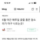 해뜰날펜션