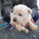 정일농장 2농장 이미지