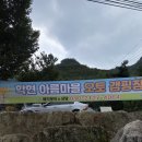 제천 충주호 애견 동반 : 학현 아름마을 오토캠핑장 + 좋은 자리 추천