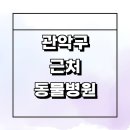 현대동물병원 | 서울 관악구 근처 동물병원 추천 잘하는곳 정보 중성화 강아지 수술 후기 치료 고양이 24시 새벽 공휴일...