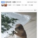 민지축산 | 경산 여행 코스 추천 이웃집 수달 방문 후기