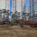 수등로123번길 이미지