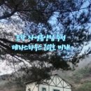 비학산 자연휴양림 이미지