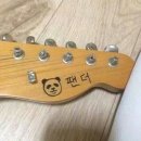 펜더 이미지