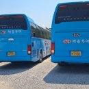 원주유치원 이미지