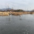 어룡세천 이미지