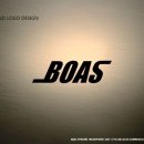 보아스 전자 이미지