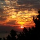 산호횟집 이미지