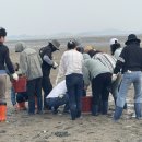 학산어촌체험휴양마을 이미지