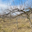 애경농장 이미지