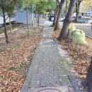 단지앞행운공인중개사사무소 이미지