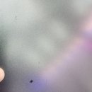 현대카본 | 창원 랩핑 벨로스터 본넷 6D 카본 시공 돌빵 커버 전후 후기 케이랩하우스