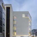 화이트성형외과의원 이미지