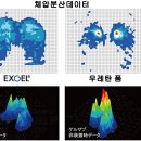 ＜GB＞ 허리 및 골반 아프신 분 적극 추천 GEL-ZAB // 100% 카본 소두핏 헬멧 // 네오 X 페이스 필터 마스크 // 헬멧 착용이 편리한 "퀵 릴리즈 버클" 이미지