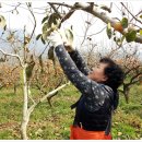 시목마을 이미지