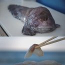 사계에반하다 스포츠경향