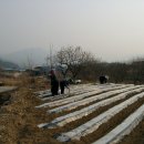 옥동농장 이미지